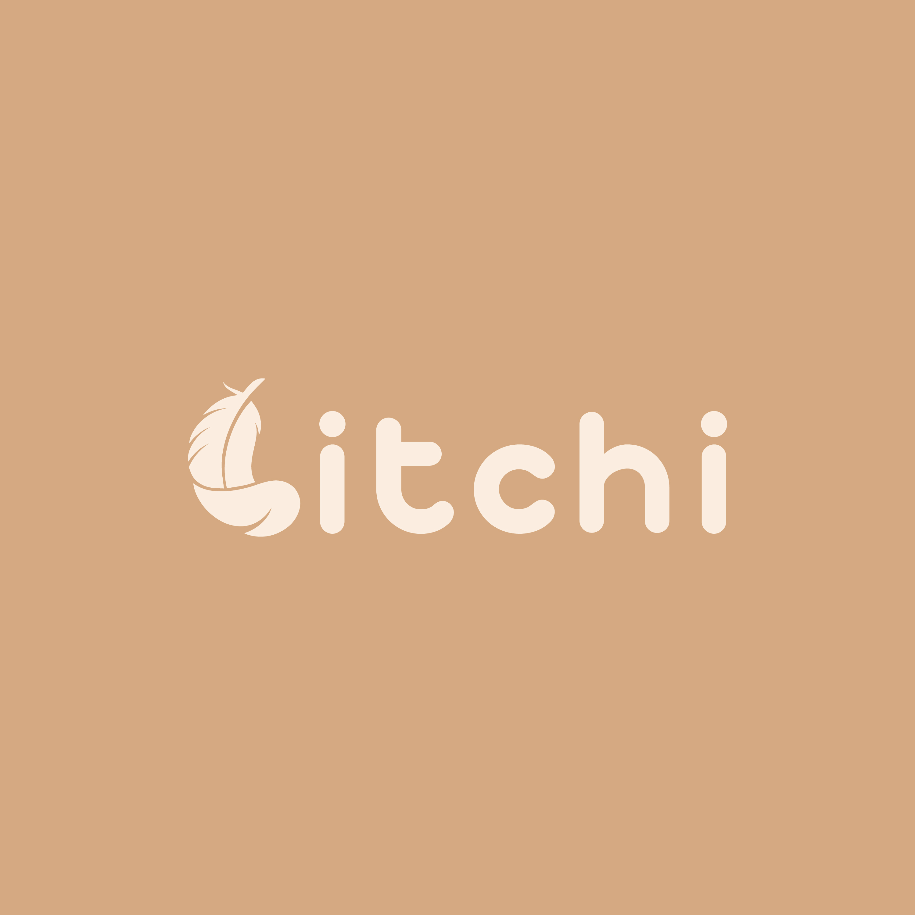 Litchi: E-commerce Brand Identity